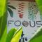 Focus Rooms