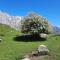 Hosteria Picos De Europa