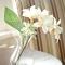 Ennislare House Guest Accommodation