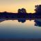 La Girouette photo 8