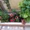 Guest House Rakovina