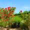 Ecole de Mathuna de Marigny Brizay photo 14