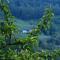 FERN FARM ECO RESORT