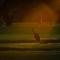 Renmark Country Club