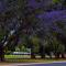 Renmark Country Club