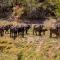 The Ranch House at African Safari Lodge