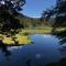 Appartement 6 pers - Les 4 Loups au pied des pistes