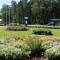 Pine Resort