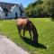 House with sea views close to Beach with WiFi and large kitchen and dining - Ardnagreevagh