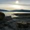 Treehut, nature, birds, silence and fjord - Samlanes