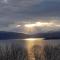 Treehut, nature, birds, silence and fjord - Samlanes