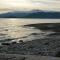 Treehut, nature, birds, silence and fjord - Samlanes