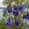 Treehut, nature, birds, silence and fjord - Samlanes