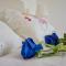 Mini-Appartamenti, Camere Lanterna Blu