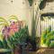 Canova Hostel & Pizza