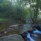 Abad Brookside Wayanad