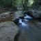 Abad Brookside Wayanad