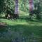 Vakantiewoning De Lotus