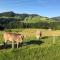 Ferienwohnung Steibis / Allgäu
