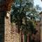 B&B Borgo di Oliveto