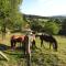 Ferme des Entremains