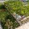 Apartmani Perak - Mimice