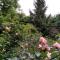 Citadela - Sombor
