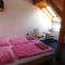 Pension U Mojmíra - Rokytnice nad Jizerou