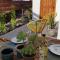 Casa Cocoon, Sun&Freedom, 8 mn from beaches, internet fiber