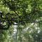 Holiday House Prodromos