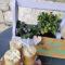 Holiday House Prodromos