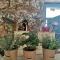 Holiday House Prodromos