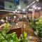Green Haven Hostel