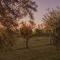 Finca Fisterra