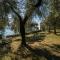 Uliveto - Apartment in olive grove directly on the lake