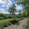 Country house Todor