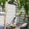 Bed and Breakfast Het Emmapark Medemblik