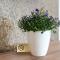 Apartamenty, Boutique Rooms Villa 82, MIEJSCE PRKINGOWE