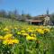 Agriturismo Fattoria Ca Di Sole - San Benedetto Val di Sambro