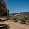 Rancho Toros Pintos