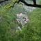 Borjomi Central Park Apartment
