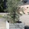 Chambres d'Aumont photo 14