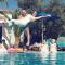 Hotel Andreas - Agistri (Skala)