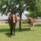 Le Clos Marie photo 20