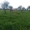 Studio indépendant dans Ferme Equestre