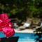 Logis Hotel Le Blason de Provence