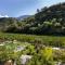 Kreuzwegerhof Nals - Historic Nature Stay with Pool near Meran & Bozen