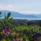 Bio B&B Vivere la Vita