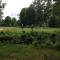 B&B Johannahoeve Veluwe