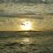 Sea Breeze